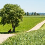 Rast im Schatten
